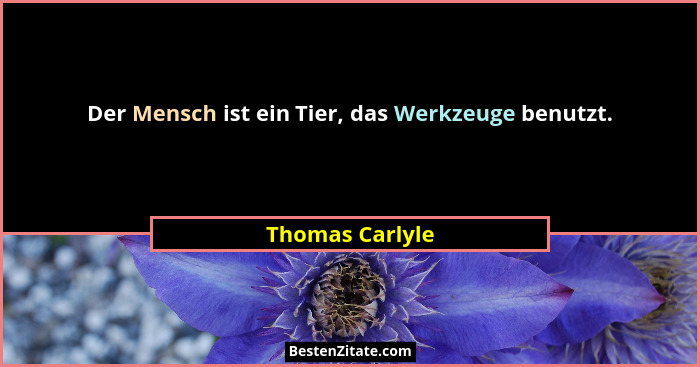 Der Mensch ist ein Tier, das Werkzeuge benutzt.... - Thomas Carlyle