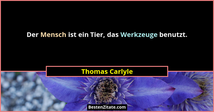 Der Mensch ist ein Tier, das Werkzeuge benutzt.... - Thomas Carlyle
