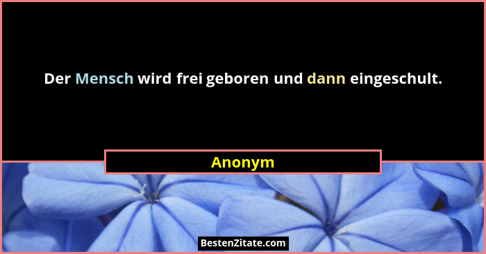 Der Mensch wird frei geboren und dann eingeschult.... - Anonym