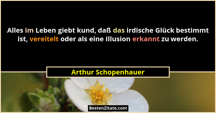 Alles im Leben giebt kund, daß das irdische Glück bestimmt ist, vereitelt oder als eine Illusion erkannt zu werden.... - Arthur Schopenhauer