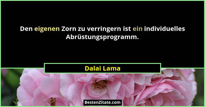 Den eigenen Zorn zu verringern ist ein individuelles Abrüstungsprogramm.... - Dalai Lama