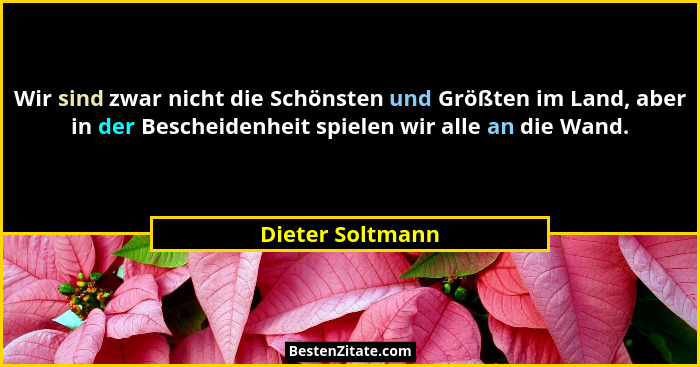 Wir sind zwar nicht die Schönsten und Größten im Land, aber in der Bescheidenheit spielen wir alle an die Wand.... - Dieter Soltmann