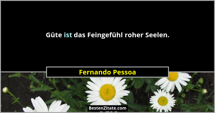 Güte ist das Feingefühl roher Seelen.... - Fernando Pessoa