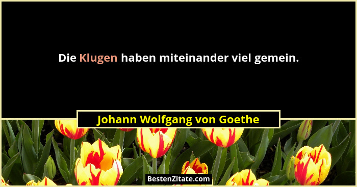 Die Klugen haben miteinander viel gemein.... - Johann Wolfgang von Goethe