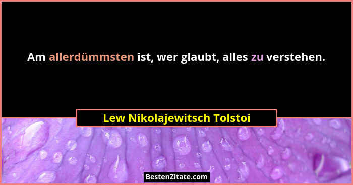 Am allerdümmsten ist, wer glaubt, alles zu verstehen.... - Lew Nikolajewitsch Tolstoi