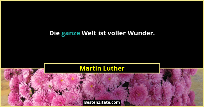 Die ganze Welt ist voller Wunder.... - Martin Luther