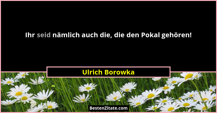 Ihr seid nämlich auch die, die den Pokal gehören!... - Ulrich Borowka