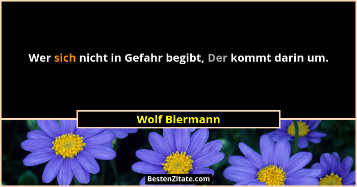 Wer sich nicht in Gefahr begibt, Der kommt darin um.... - Wolf Biermann