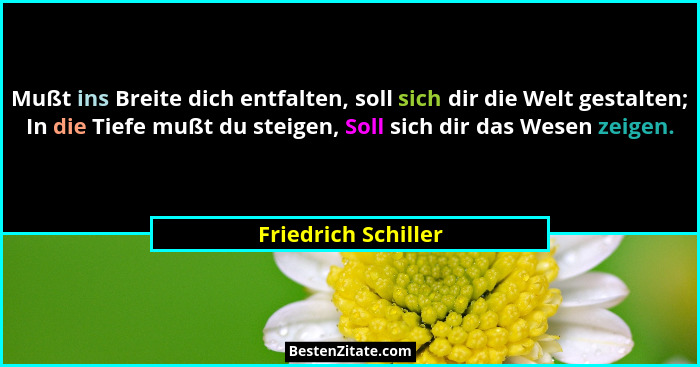 Mußt ins Breite dich entfalten, soll sich dir die Welt gestalten; In die Tiefe mußt du steigen, Soll sich dir das Wesen zeigen.... - Friedrich Schiller