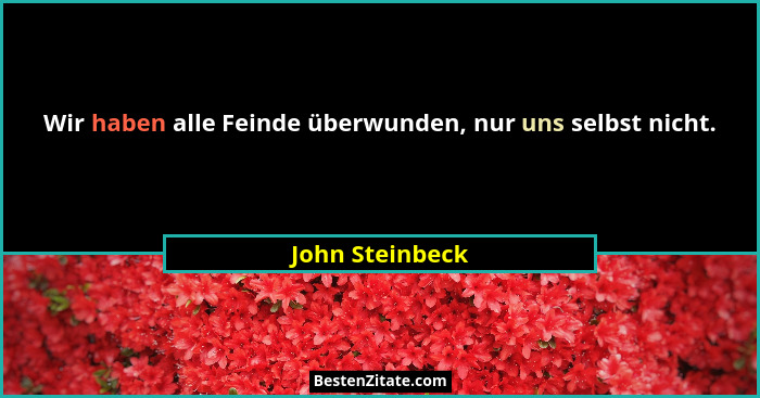 Wir haben alle Feinde überwunden, nur uns selbst nicht.... - John Steinbeck