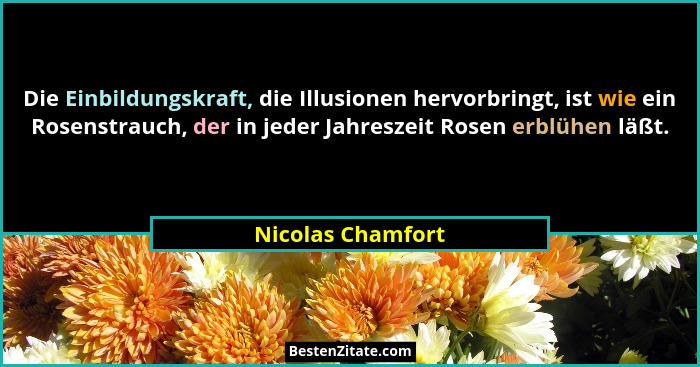 Die Einbildungskraft, die Illusionen hervorbringt, ist wie ein Rosenstrauch, der in jeder Jahreszeit Rosen erblühen läßt.... - Nicolas Chamfort
