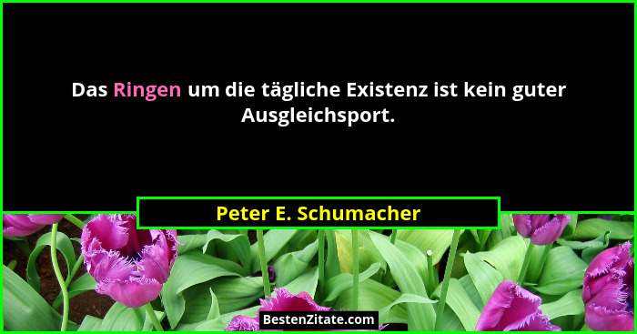 Das Ringen um die tägliche Existenz ist kein guter Ausgleichsport.... - Peter E. Schumacher