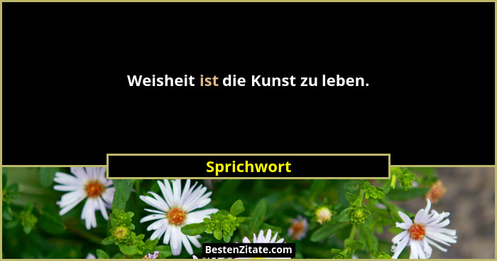 Weisheit ist die Kunst zu leben.... - Sprichwort