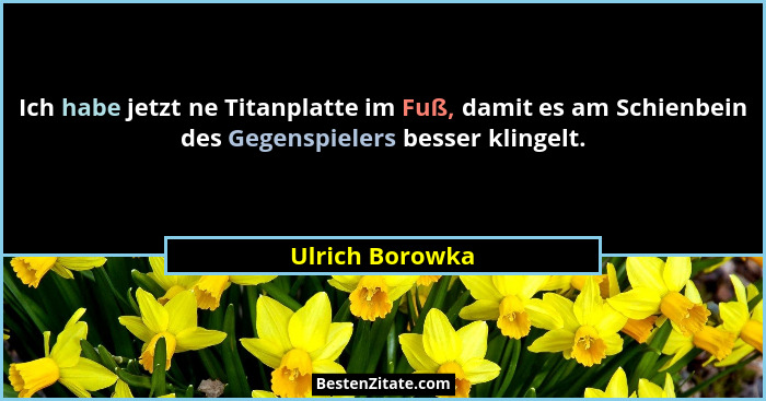 Ich habe jetzt ne Titanplatte im Fuß, damit es am Schienbein des Gegenspielers besser klingelt.... - Ulrich Borowka