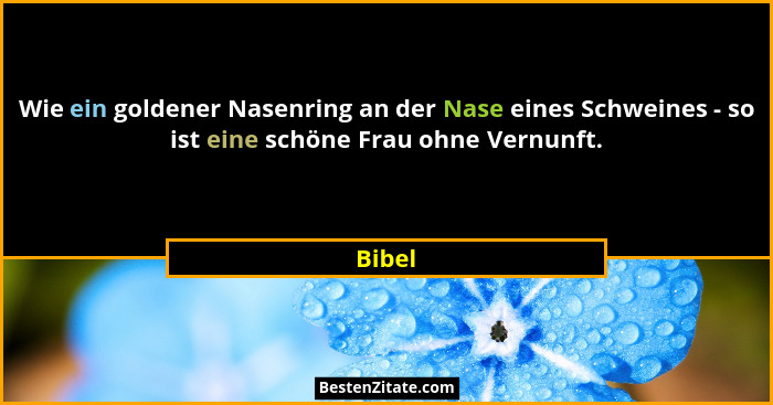 Wie ein goldener Nasenring an der Nase eines Schweines - so ist eine schöne Frau ohne Vernunft.... - Bibel