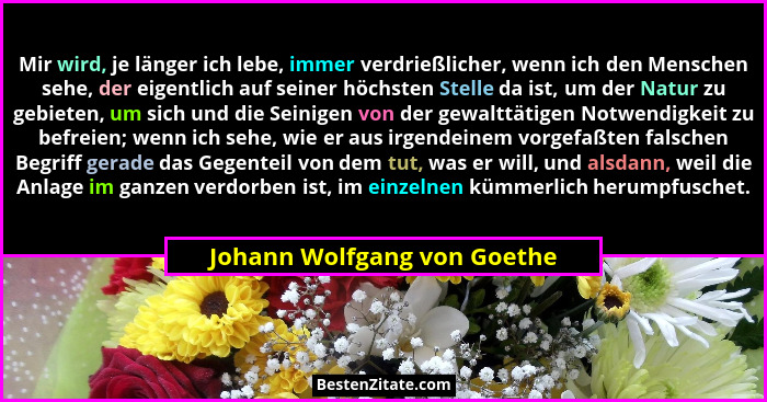 Mir wird, je länger ich lebe, immer verdrießlicher, wenn ich den Menschen sehe, der eigentlich auf seiner höchsten Stelle... - Johann Wolfgang von Goethe