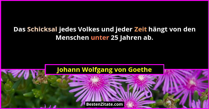 Das Schicksal jedes Volkes und jeder Zeit hängt von den Menschen unter 25 Jahren ab.... - Johann Wolfgang von Goethe