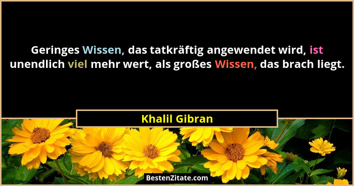 Geringes Wissen, das tatkräftig angewendet wird, ist unendlich viel mehr wert, als großes Wissen, das brach liegt.... - Khalil Gibran