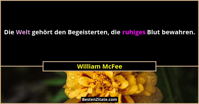 Die Welt gehört den Begeisterten, die ruhiges Blut bewahren.... - William McFee