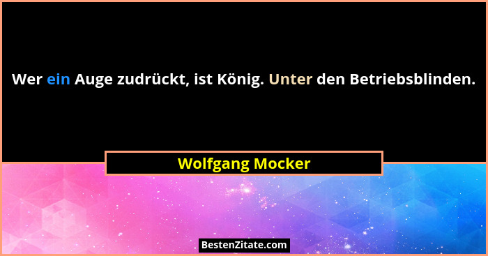 Wer ein Auge zudrückt, ist König. Unter den Betriebsblinden.... - Wolfgang Mocker