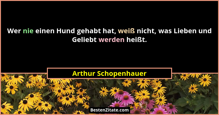 Wer nie einen Hund gehabt hat, weiß nicht, was Lieben und Geliebt werden heißt.... - Arthur Schopenhauer