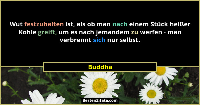 Wut festzuhalten ist, als ob man nach einem Stück heißer Kohle greift, um es nach jemandem zu werfen - man verbrennt sich nur selbst.... - Buddha