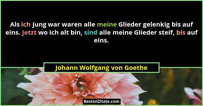 Als ich jung war waren alle meine Glieder gelenkig bis auf eins. Jetzt wo ich alt bin, sind alle meine Glieder steif, bis... - Johann Wolfgang von Goethe