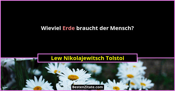 Wieviel Erde braucht der Mensch?... - Lew Nikolajewitsch Tolstoi