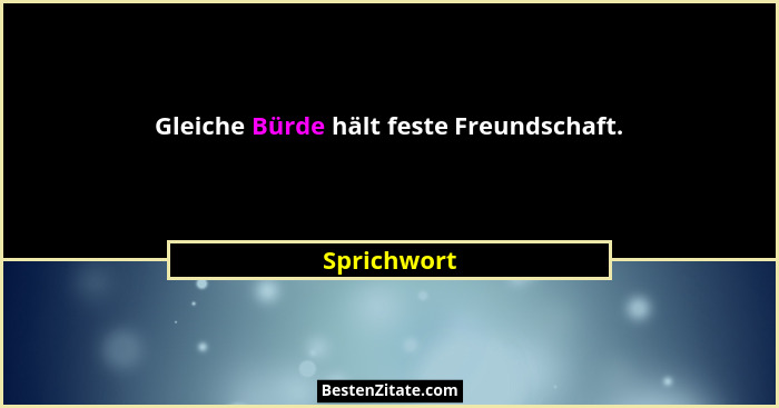 Gleiche Bürde hält feste Freundschaft.... - Sprichwort