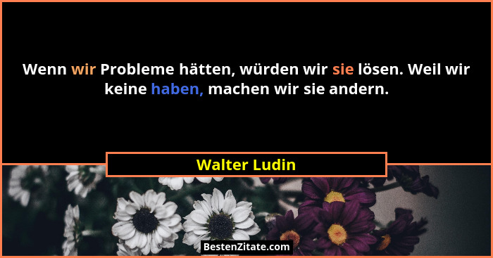 Wenn wir Probleme hätten, würden wir sie lösen. Weil wir keine haben, machen wir sie andern.... - Walter Ludin