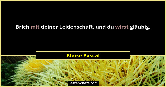 Brich mit deiner Leidenschaft, und du wirst gläubig.... - Blaise Pascal
