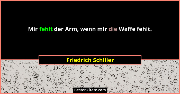 Mir fehlt der Arm, wenn mir die Waffe fehlt.... - Friedrich Schiller