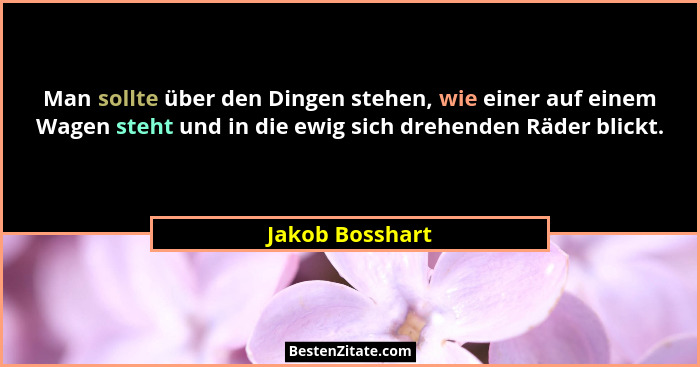 Man sollte über den Dingen stehen, wie einer auf einem Wagen steht und in die ewig sich drehenden Räder blickt.... - Jakob Bosshart