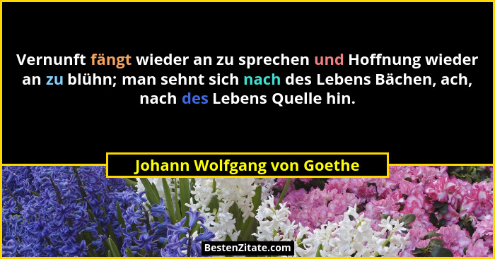 Vernunft fängt wieder an zu sprechen und Hoffnung wieder an zu blühn; man sehnt sich nach des Lebens Bächen, ach, nach de... - Johann Wolfgang von Goethe