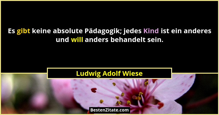 Es gibt keine absolute Pädagogik; jedes Kind ist ein anderes und will anders behandelt sein.... - Ludwig Adolf Wiese