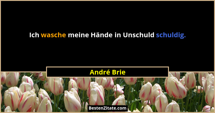 Ich wasche meine Hände in Unschuld schuldig.... - André Brie