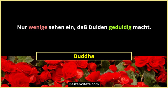 Nur wenige sehen ein, daß Dulden geduldig macht.... - Buddha