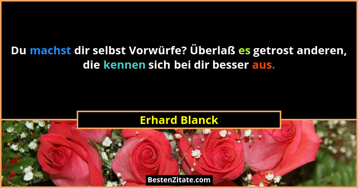 Du machst dir selbst Vorwürfe? Überlaß es getrost anderen, die kennen sich bei dir besser aus.... - Erhard Blanck