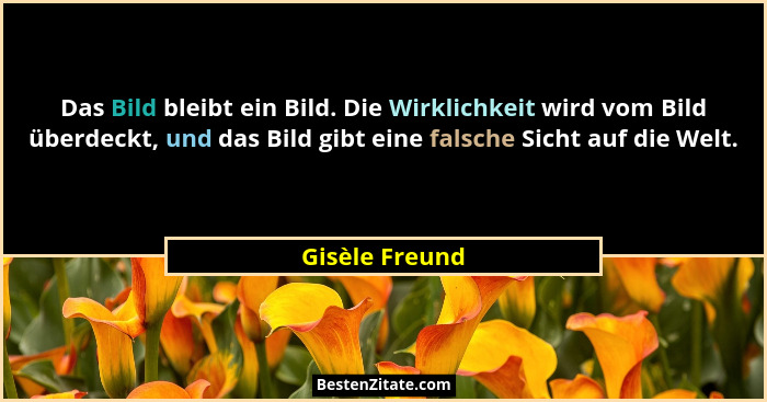 Das Bild bleibt ein Bild. Die Wirklichkeit wird vom Bild überdeckt, und das Bild gibt eine falsche Sicht auf die Welt.... - Gisèle Freund