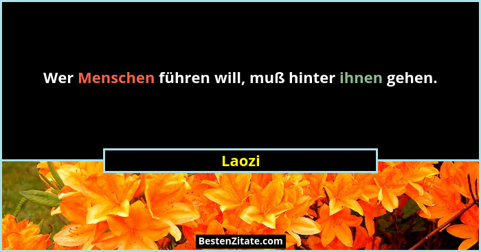 Wer Menschen führen will, muß hinter ihnen gehen.... - Laozi