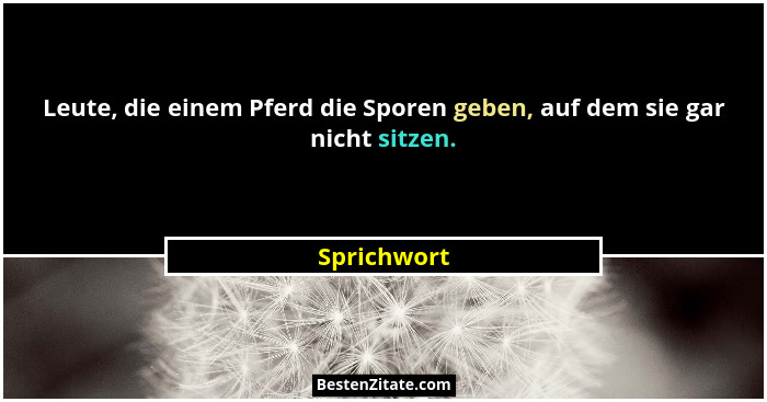 Leute, die einem Pferd die Sporen geben, auf dem sie gar nicht sitzen.... - Sprichwort