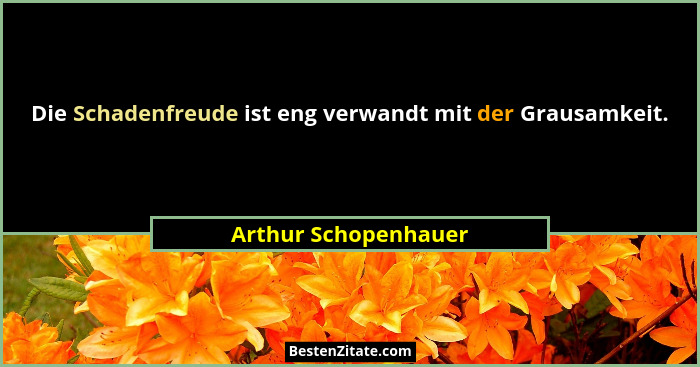 Die Schadenfreude ist eng verwandt mit der Grausamkeit.... - Arthur Schopenhauer