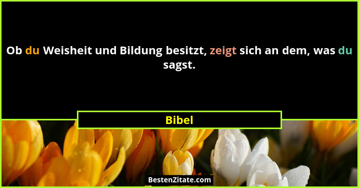 Ob du Weisheit und Bildung besitzt, zeigt sich an dem, was du sagst.... - Bibel