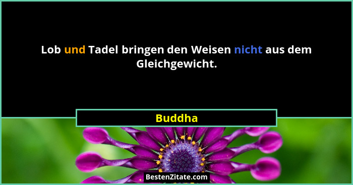 Lob und Tadel bringen den Weisen nicht aus dem Gleichgewicht.... - Buddha