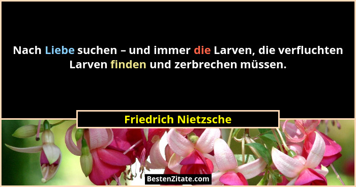 Nach Liebe suchen – und immer die Larven, die verfluchten Larven finden und zerbrechen müssen.... - Friedrich Nietzsche