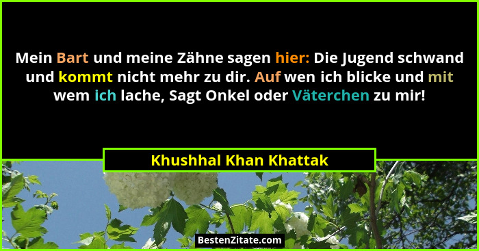 Mein Bart und meine Zähne sagen hier: Die Jugend schwand und kommt nicht mehr zu dir. Auf wen ich blicke und mit wem ich lache... - Khushhal Khan Khattak