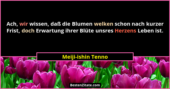Ach, wir wissen, daß die Blumen welken schon nach kurzer Frist, doch Erwartung ihrer Blüte unsres Herzens Leben ist.... - Meiji-ishin Tenno