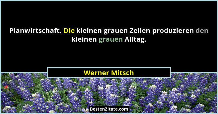 Planwirtschaft. Die kleinen grauen Zellen produzieren den kleinen grauen Alltag.... - Werner Mitsch