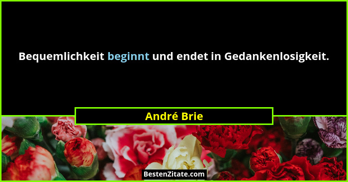 Bequemlichkeit beginnt und endet in Gedankenlosigkeit.... - André Brie