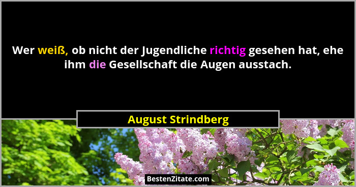 Wer weiß, ob nicht der Jugendliche richtig gesehen hat, ehe ihm die Gesellschaft die Augen ausstach.... - August Strindberg